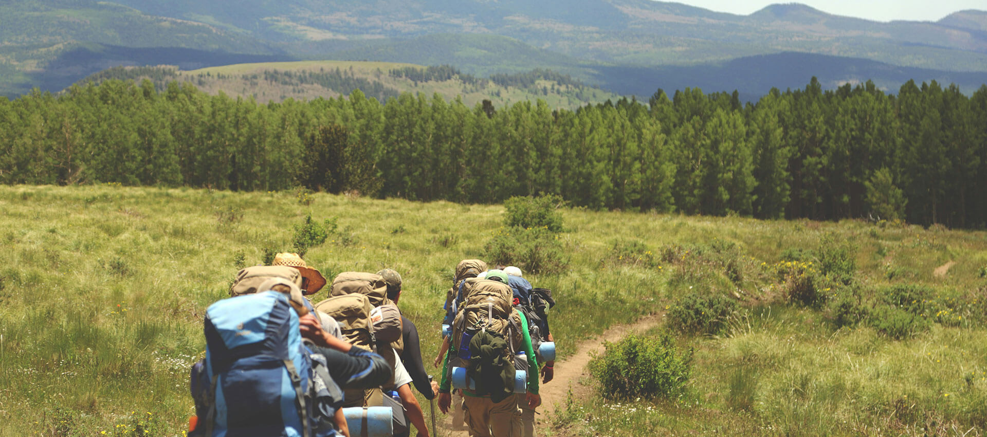 People with backpacks hike along a grassy trail through a forested area, with distant mountains visible under a clear blue sky.