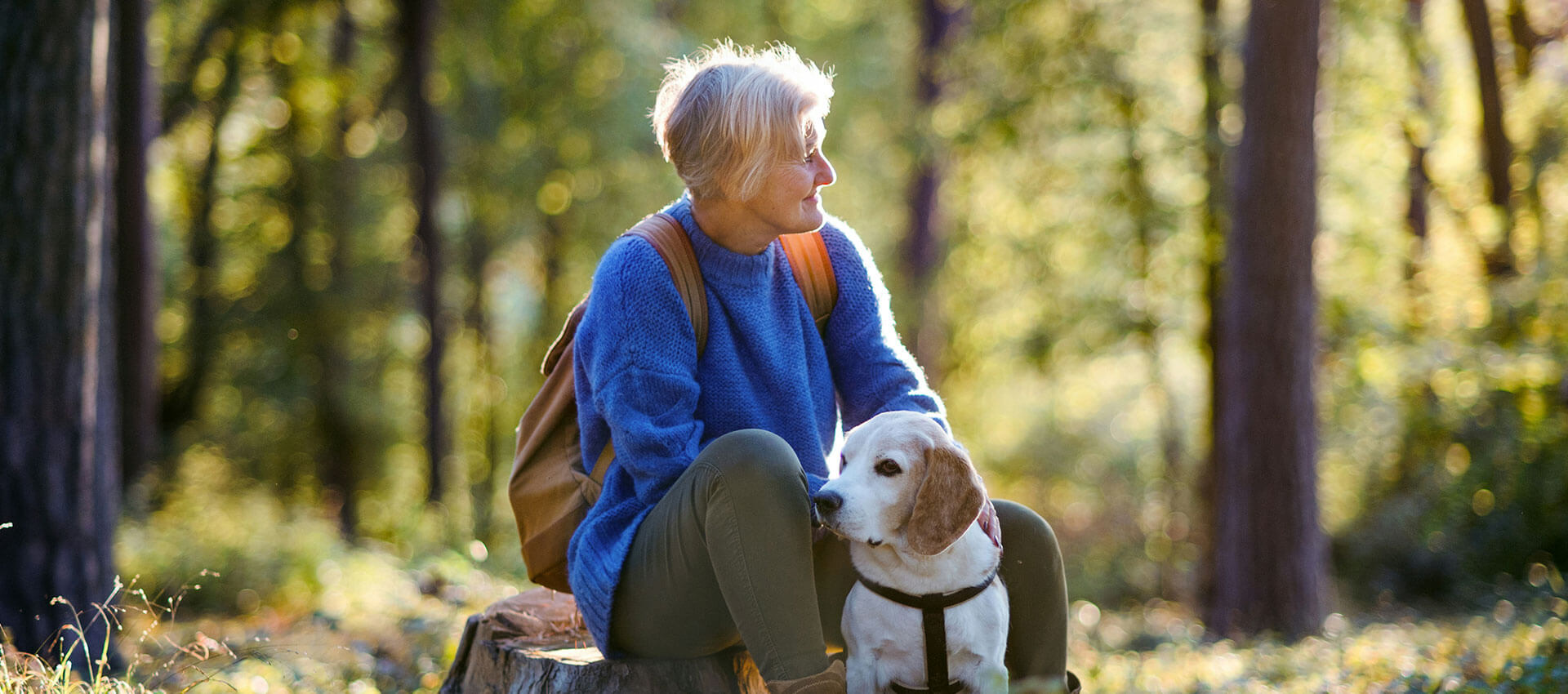 A person in a blue sweater sits on a log petting a dog, surrounded by a sunlit forest with tall trees and lush greenery.