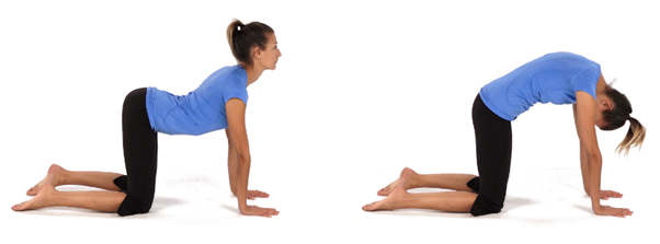 Two images showing a person in exercise poses on hands and knees. On the left, their back is arched, head up; on the right, their back is rounded, head down.