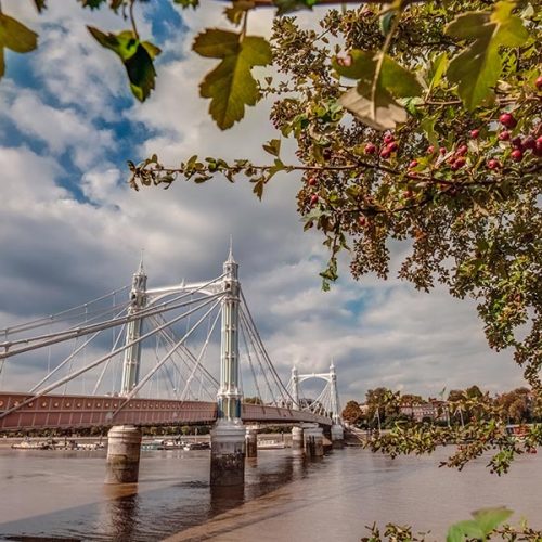 A suspension bridge spans a wide river, framed by green branches with red berries. The sky is partly cloudy, and buildings are visible in the background.