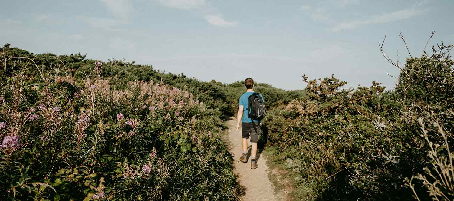 A man wearing a blue t-shirt, black shorts, walking boots and a backpack walks along a trail surrounded by bushes sprouting purple flowers on a blue sunny day.