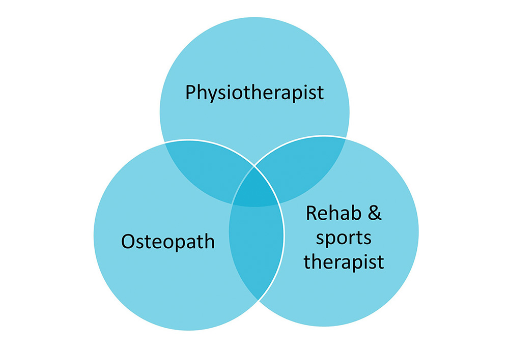 Three overlapping blue circles display the words "Physical Health," "Mental Health," and "Work & Well-being." The intersection emphasizes the integration of these elements in healthcare services.